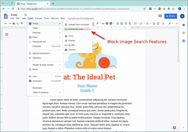 Block multiple entries that takes students into the image searching feature