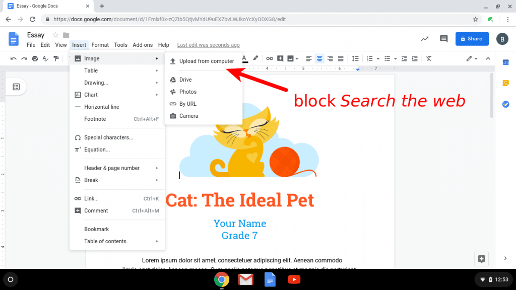 Block Search the web that activates image search with Safe Doc
