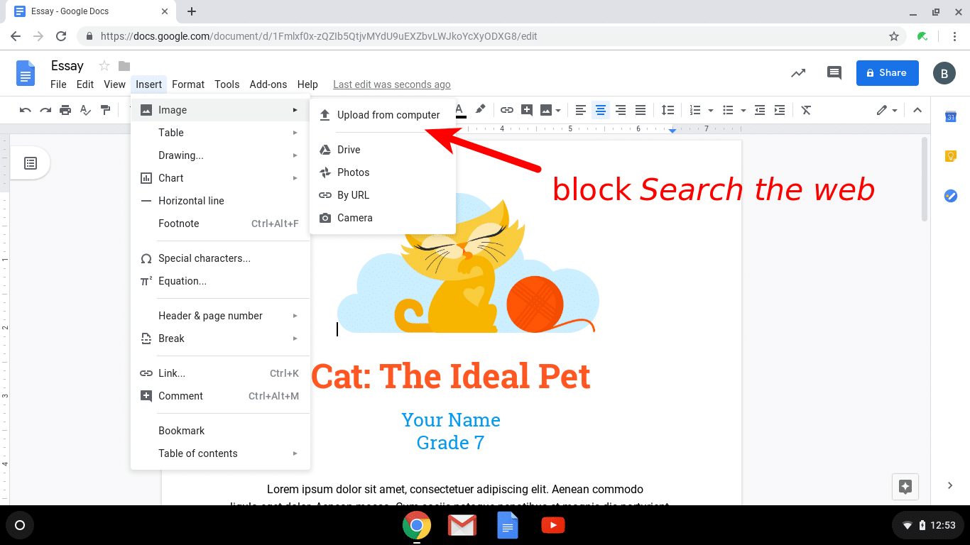 Block Search the web that activates image search with Safe Doc