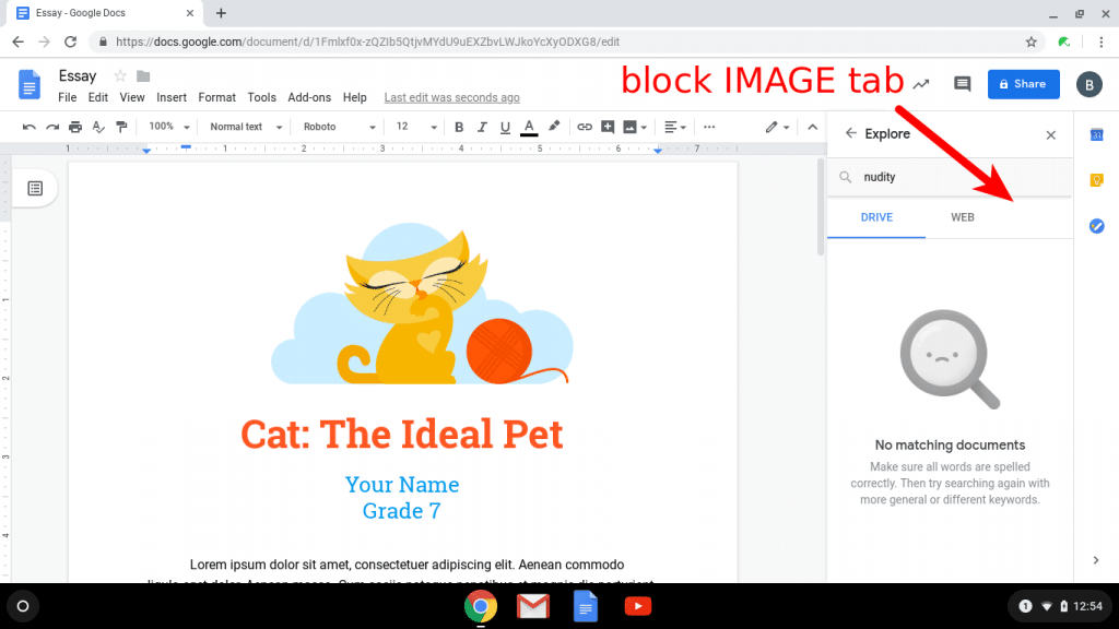 The IMAGE tab in Explore is disabled